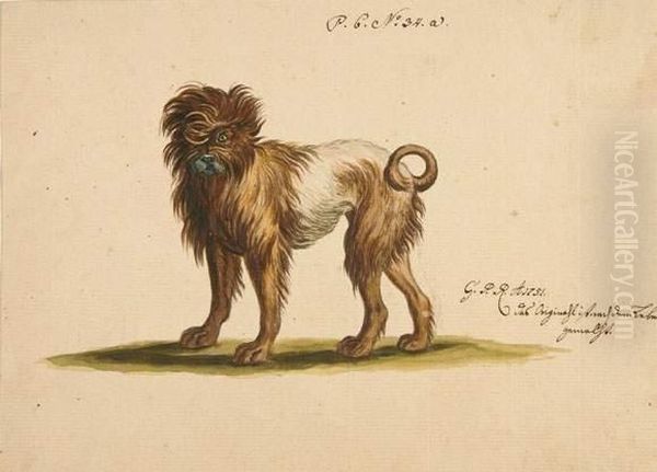 Hund. Oil Painting by Georg Philipp I Rugendas