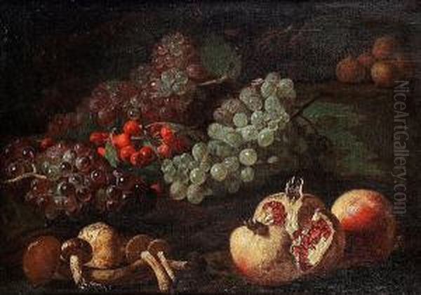 Mushrooms, Pomegranates, Grapes, Cherries And Figs On A Stone Ledge Oil Painting by Giovanni Battista Ruoppolo