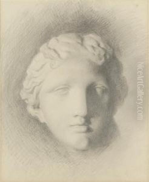 Study Of The Head Of 'venus De Medici' Oil Painting by John Ruskin