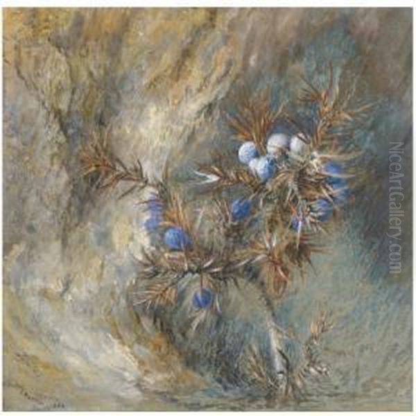 Juniper Oil Painting by John Ruskin