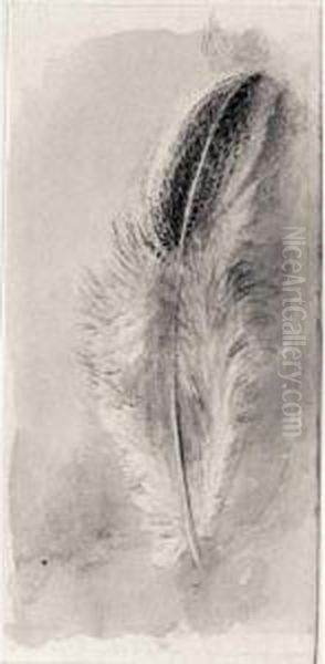 Study Of A Feather Oil Painting by John Ruskin