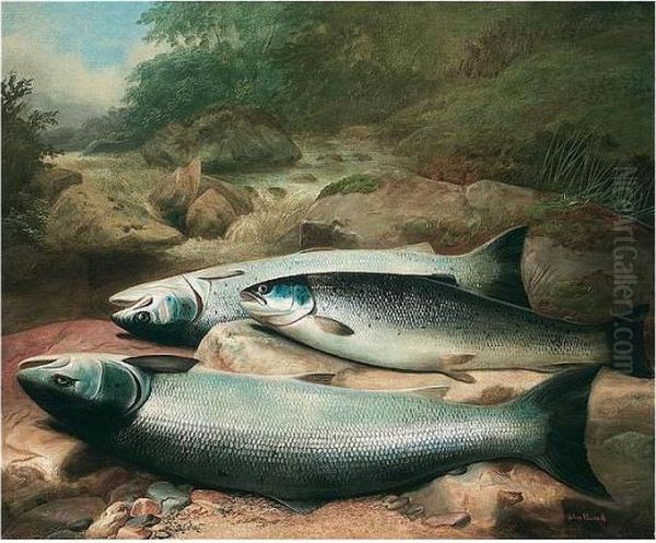 Salmon On The River Bank Oil Painting by John Russell