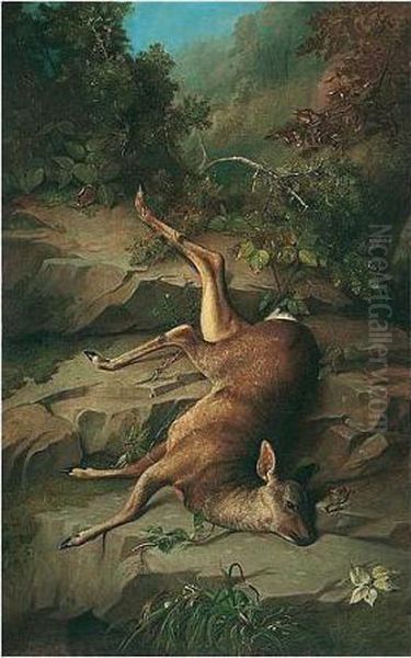 Dead Hind Oil Painting by John Russell