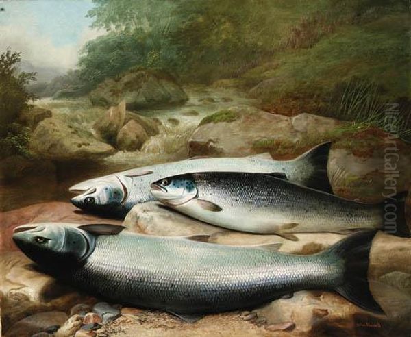 Three Salmon On A Rocky Riverbank Oil Painting by John Russell