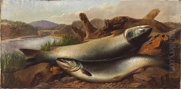 Two Salmon On A Riverbank Oil Painting by John Russell