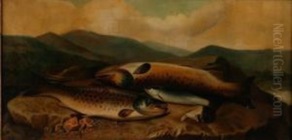 Painting Of Fish Oil Painting by John Russell