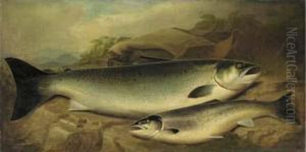 Salmon And Trout On A River Bank Oil Painting by John Russell