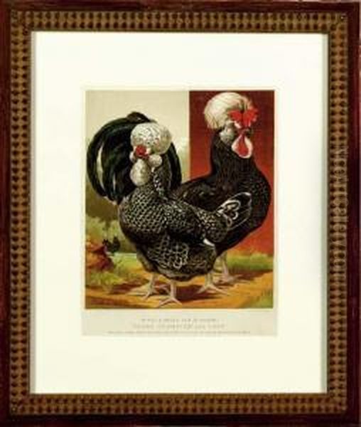 The Illustrated Book Of Poultry: Six Plates Oil Painting by William Rutledge