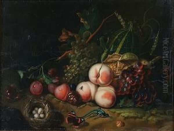 Still Life Of Fruit And A Bird's Nest, Signedw. Verbeet Oil Painting by Rachel Ruysch