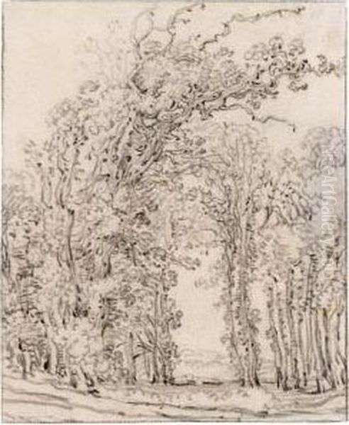 Study Of Trees Oil Painting by Frans, Francois Ryckhals