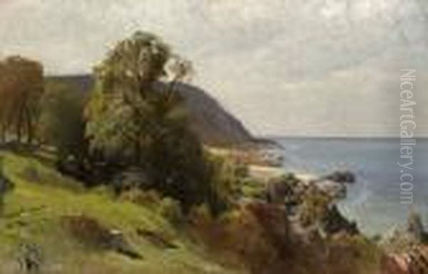 Stranden Vid Arild Oil Painting by Gustaf Rydberg