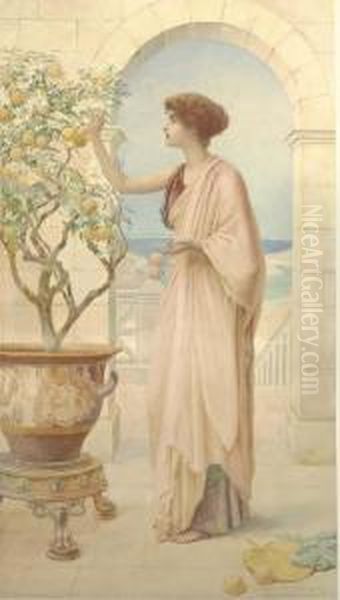 The Orange Tree Oil Painting by Henry Ryland