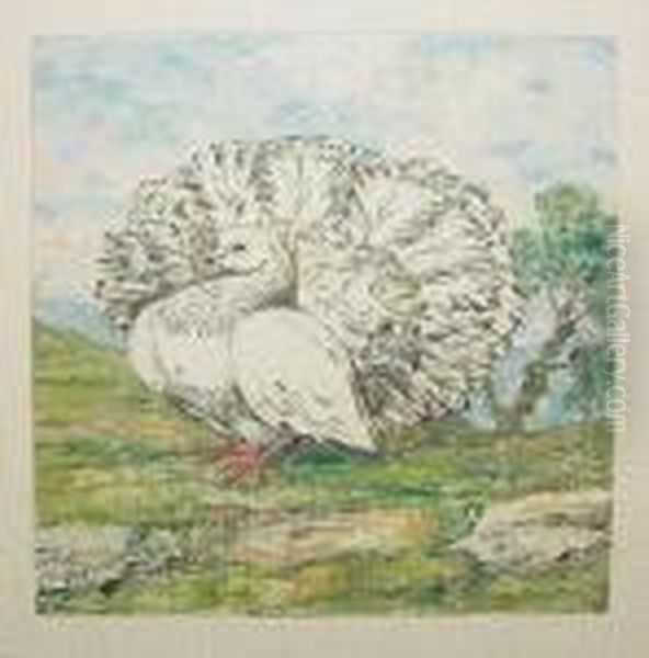 A Group Of Bird Pictures (5) by Giotto Sacchetti