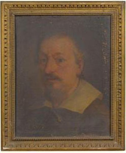 Portrait Of The Artist Francesco Albani (1578-1660), Head Andshoulders Oil Painting by Andrea Sacchi