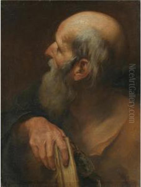 Saint Andrew Oil Painting by Andrea Sacchi