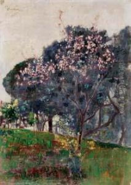 Alberi In Fiore Oil Painting by Giuseppe Sacheri