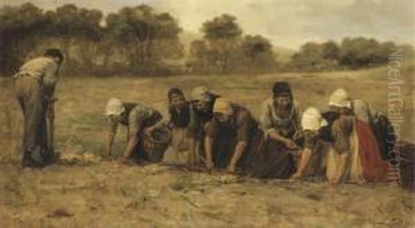 Harvesting Potatoes Oil Painting by Philippe Lodowyck Jacob Sadee