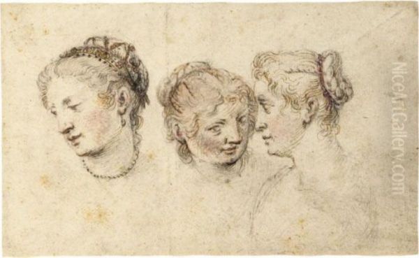 Study Of Three Female Heads Oil Painting by Jan Pietersz. Saenredam