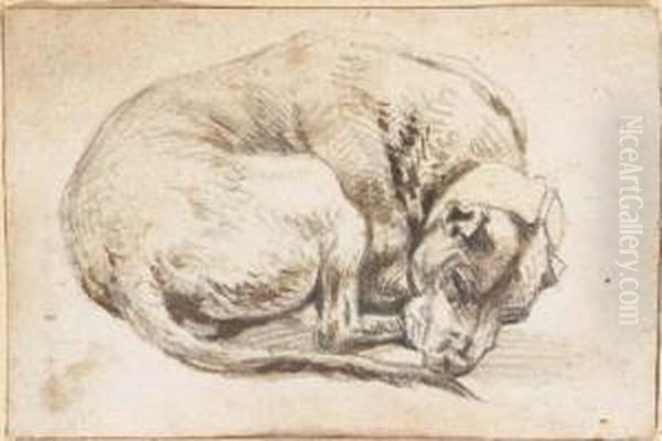 A Sleeping Dog Oil Painting by Cornelis Saftleven