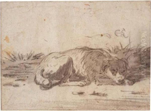 Study Of A Sleeping Dog Oil Painting by Cornelis Saftleven