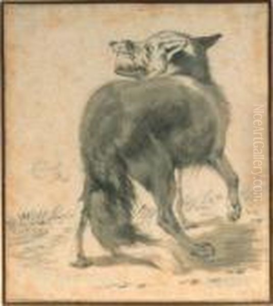 Study Of A Wolf, Seen From Behind Oil Painting by Cornelis Saftleven