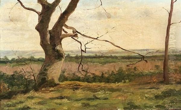 Paysage Au Grand Arbre. Oil Painting by Paul Jean Marie Sain