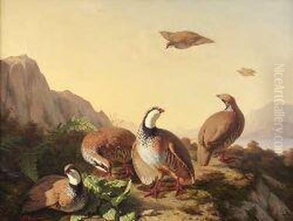 French Partridge At Evening Oil Painting by Simon Saint-Jean