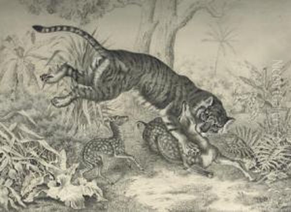 A Tiger Killing A Sika Deer Oil Painting by Raden Sjarief B. Saleh