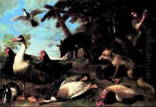 Natura Morta Con Animali E Giovane Sullo Sfondo Oil Painting by Tommaso Salini (Mao)