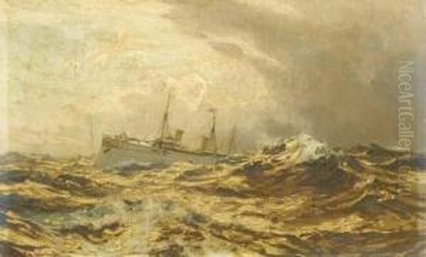 Sm Yacht Hohenzollern Auf Hoher See Oil Painting by Carl Saltzmann