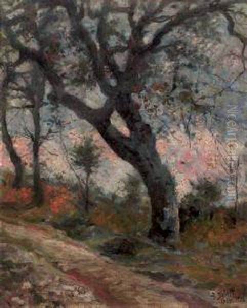 Strada Con Albero Oil Painting by Antonio Salvetti