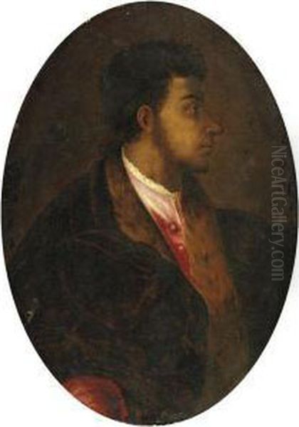 Ritratto Di Alessandro De' Medici Oil Painting by Rancesco De' Rossi (see Salviati, Cecchino Del)