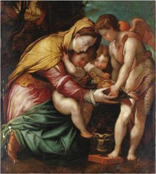 Madonna Del Pappagallo Oil Painting by Rancesco De' Rossi (see Salviati, Cecchino Del)