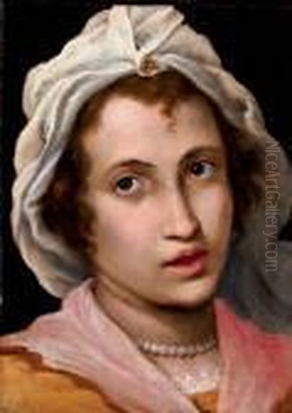 Head Of A Woman Oil Painting by Rancesco De' Rossi (see Salviati, Cecchino Del)