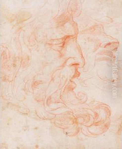 Two Studies Of Bearded Heads Oil Painting by Rancesco De' Rossi (see Salviati, Cecchino Del)