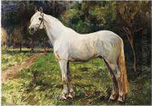 The Grey Oil Painting by Nikolai Semenovich Samokish