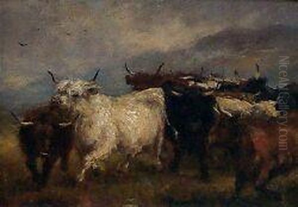 Highland Cattle In A Mountain Landscape Oil Painting by Robert Sanderson