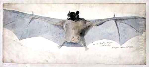 The Bat of Brazils Oil Painting by Augustus Earle