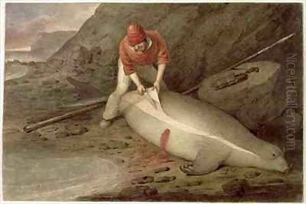 Flinching a yearling a young sea elephant Tristan da Cunha Oil Painting by Augustus Earle