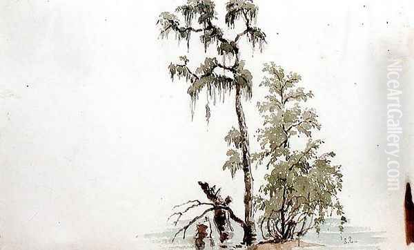 Florida River Scene, 1840 Oil Painting by Seth Eastman