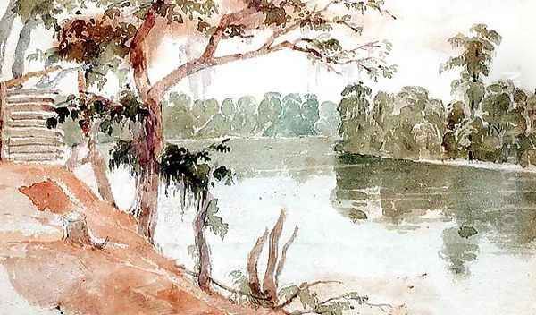 Cypress, Florida, September 1840 Oil Painting by Seth Eastman