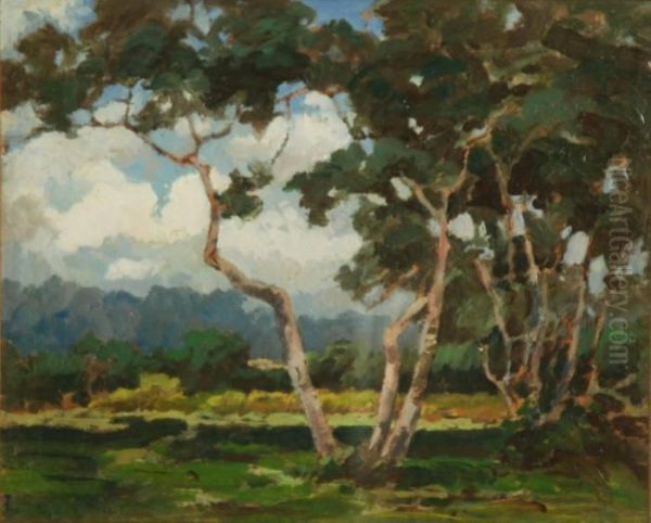 Alberi Oil Painting by Francesco Sartorelli