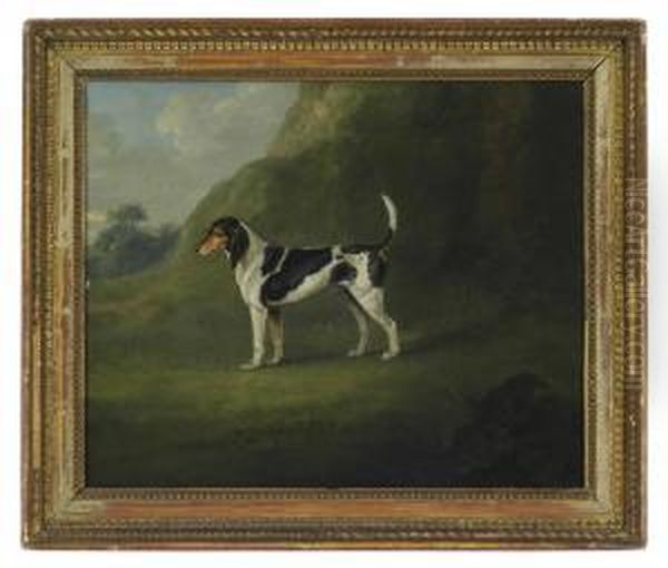 A Foxhound In A Landscape Oil Painting by J. Francis Sartorius