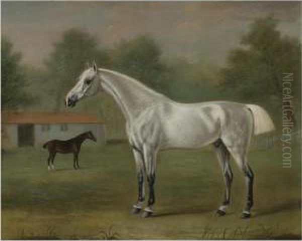 A Grey Horse Oil Painting by J. Francis Sartorius