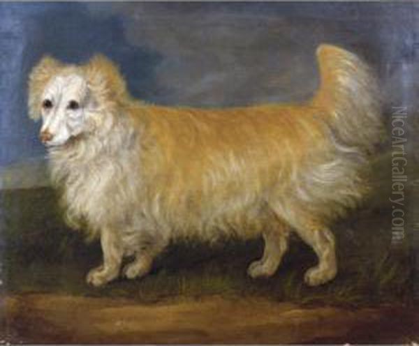 A Favourite Dog Oil Painting by J. Francis Sartorius