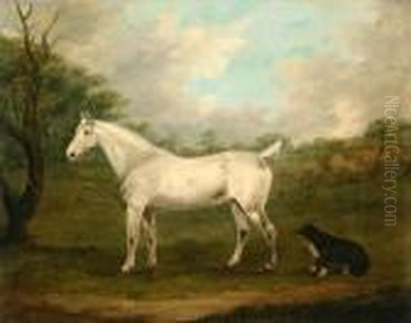 Dappled Grey Hunter With Sheep Dog In A Field Oil Painting by J. Francis Sartorius