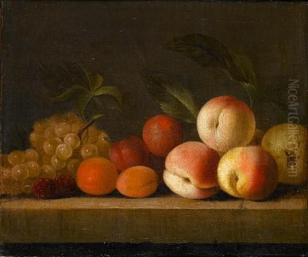 Still Life Of Peaches, Apricots, Plums, Grapes And Other Fruit On A Stone Ledge Oil Painting by William Sartorius