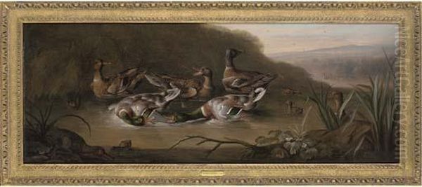 Mallard Drakes Fighting, With Ducks And Ducklings In A Stream Oil Painting by William Sartorius