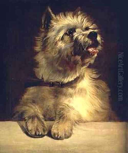 Cairn Terrier Oil Painting by George Earl