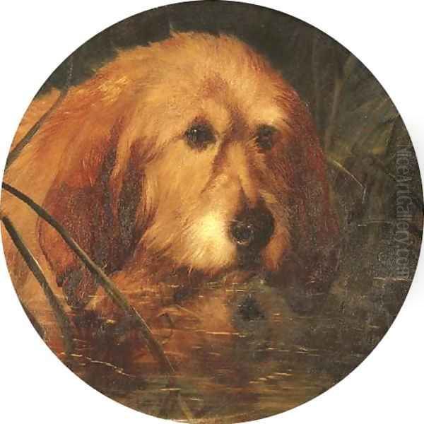 An Otterhound in Reeds Oil Painting by George Earl